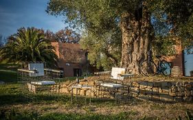 Il Podere Degli Ulivi